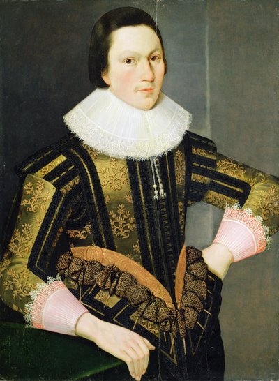 An Unknown Young Man by Unknown
